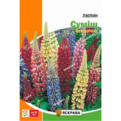 Насіння Яскрава люпин (4823069923587)