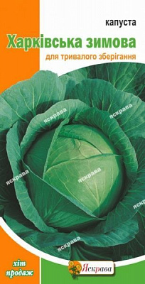 Семена Яскрава капуста белокочанная 0,5г