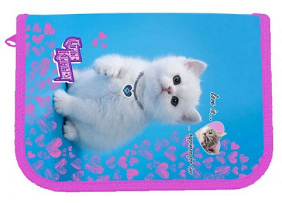 Пенал школьный 2-ярусный Cute Kitten 21405C CLASS разноцветный принт