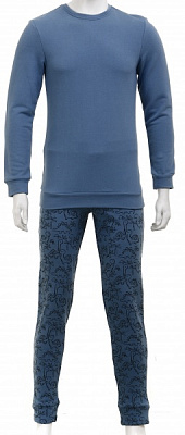 Костюм домашний мужской Flis clothes Динозавры р. L серый