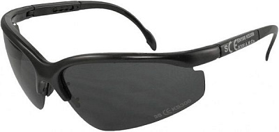 Очки защитные Reis Очки защитные REIS B306 S B306 S