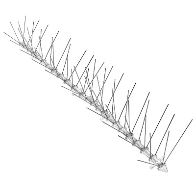 Шипи від птахів