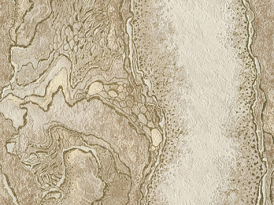 Обои виниловые на бумажной основе Славянские обои Expromt Анория 5805-01 0,53x10,05 м 