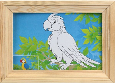 Набір для творчості Пластиліновий художник Папуга Softik