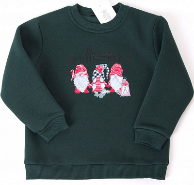 Світшот для дівчинки Mevis р.122 зелений 4504