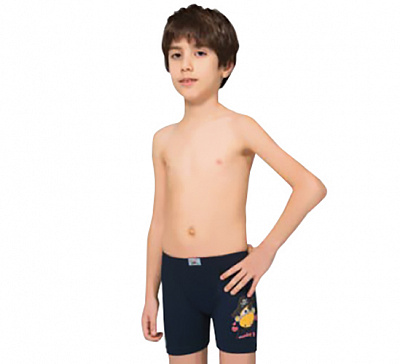 Трусы для мальчика Namaldi 301 р.116-122 в ассортименте 