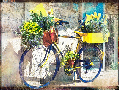 Репродукція Велосипед з квітами 60x80 см Арт Фемелі
