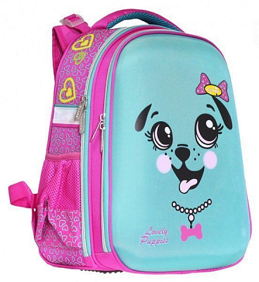 Ранец школьный CLASS SchoolCase Черепашка Puppy 39x28x21 см 9902