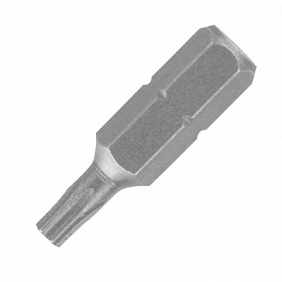 Біта Expert Fix Torx 15 (L-25) 2 шт.