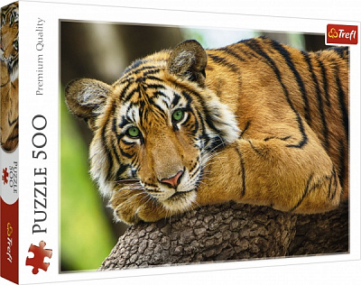 Пазл Trefl Портрет тигра 37397