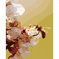 Раскраска по номерам Strateg Пчела на цветочке 40х50 см GS212