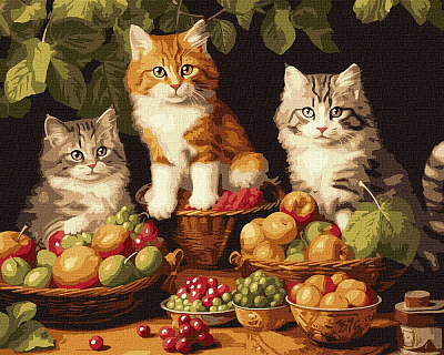 Картина по номерам Котики и фрукты ©art_selena_uа 40x50 см Идейка