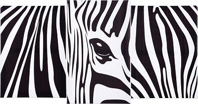 Картина модульная 3 части Животные 523 100x53 см Е0055 