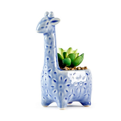 Растение декоративное DH-FLOWERS-20 GREEN/BLUE 