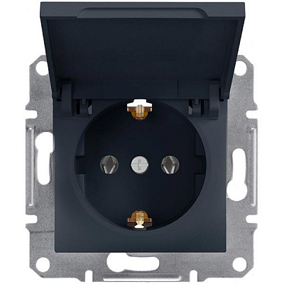 Розетка с заземлением Schneider Electric Asfora 16 А 250 В с крышкой антрацит EPH3100171