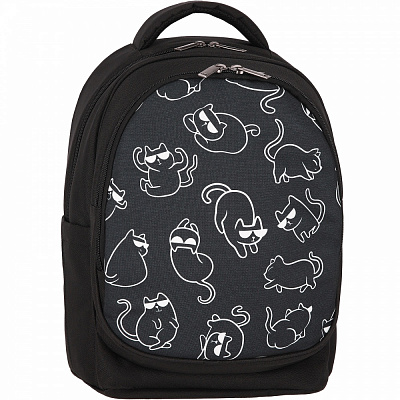 Рюкзак шкільний Bagland Funny Cats 23 л 56566