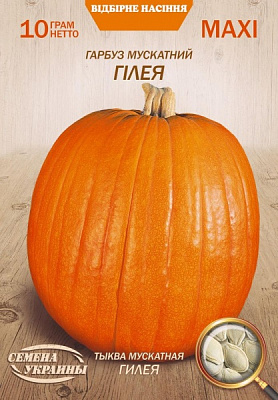 Насіння Семена Украины гарбуз мускатний Гілея 10г