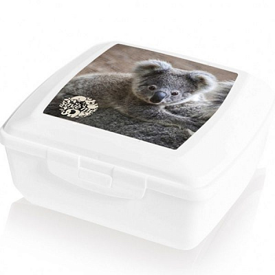 Контейнер пластиковая BranQ 1940.2 «Коала» 0,85 л 65x145x125 мм