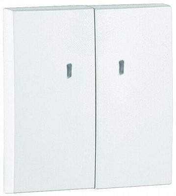 Выключатель двухклавишный Efapel Logus с подсветкой 250В белый 21062 TBR