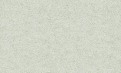 Шпалери вінілові на флізеліновій основі Bravo 81116BR08 1,06x10,05 м