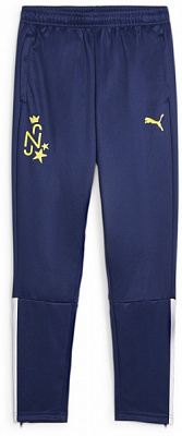 Брюки Puma NEYMAR JR INS. PANTS JR 65880201 р. 128 черный