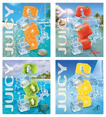 Комплект зошитів Фрукти в льоді-2 60 арк. клітинка 12 шт./уп. (4 дизайни) Мрії збуваються