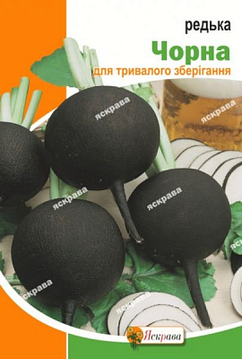 Семена Яскрава редька Черная Зимняя 10г (4823069913632)