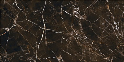 Плитка Allore Group Ashford Brown F P 60х120 R Full Lappato 1