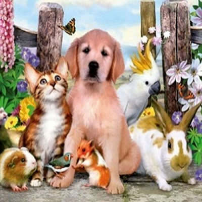 Набір для творчості зі стразами на підрамнику Веселе подвір’я 30x30 см Діамантові ручки