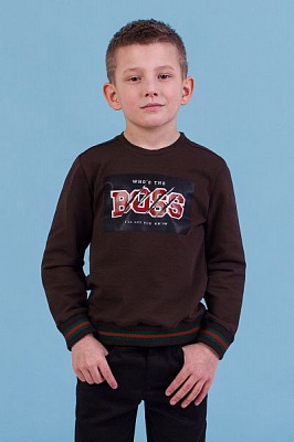 Джемпер Zironka р.116 коричневий Z1-76-0001-1