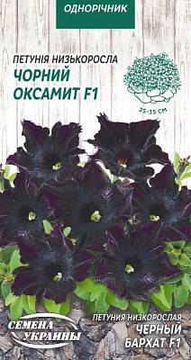 Насіння Семена Украины петунія низькоросла Чорний Оксамит F1 5 шт.