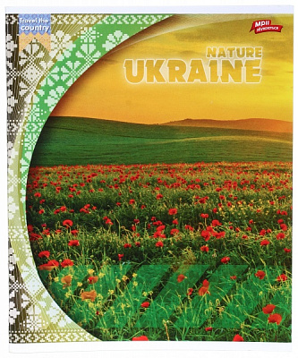 Тетрадь школьная 60 листов в линейку в ассортименте Мечты сбываются