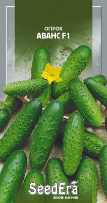 Насіння Seedera огірок Аванс F1 10 шт.