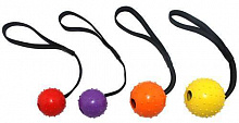 Іграшка для собак Zoomax М’яч з шипами на мотузці 6x30 см ER055