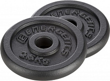 Набор Energetics Cast Iron Disc Pair диски для грифа 2 шт. 2,5 кг 108792