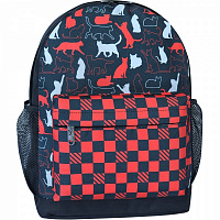 Рюкзак молодежный Bagland Cell and cats red 17 л 533664/1365