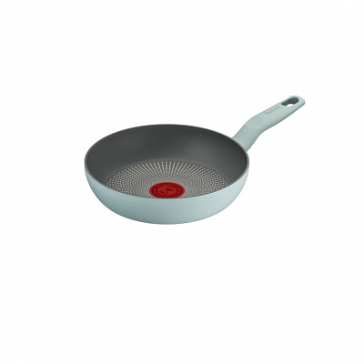 Сковорода Tefal Halo Eucalyptus 20 см G0160202