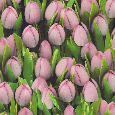 Sintra Decoration 416716 0.53x10.05 м