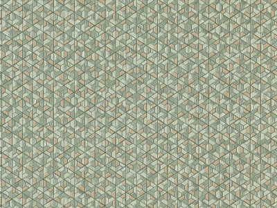 Шпалери вінілові на паперовій основі Слов'янські шпалери Expromt Оріон 5759-12 0,53x10,05 м