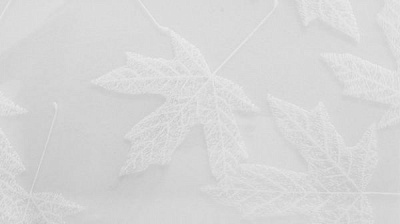 Пленка самоклеющаяся витражная T040  0,45x2 м