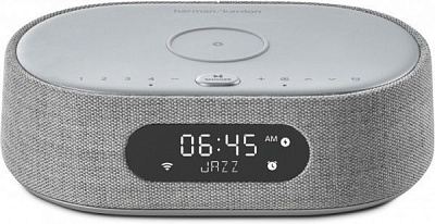 Акустическая система JBL® HKCITAOASISGRYEU grey Harman Kardon Citation Oasis