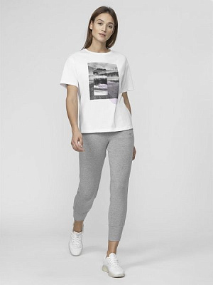 Брюки 4F D4L21-SPDD212-25M р. XS серый