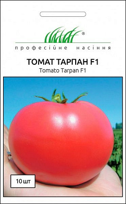 Насіння Професійне насіння томат Тарпан 10 шт.