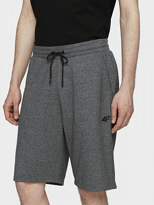 Шорти 4F H4L21-SKMD014-23P р. S темно-сірий