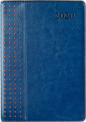 Дневник Destiny А5 cиний 251951 Leo Planner