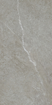 Плитка Allore Group Mariya Grey F P R Mat 60x120 см