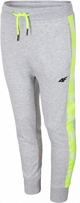 Брюки 4F HJL20-JSPMD002-25M р. 140 серый