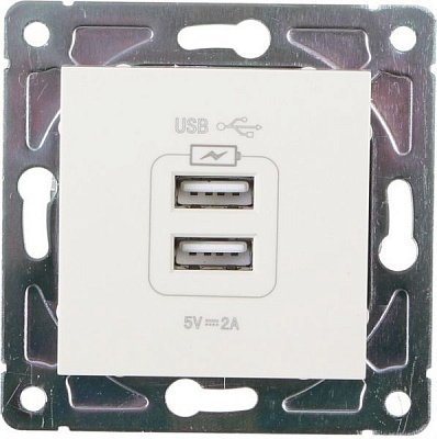 Механізм розетки USB кінцева подвійна HausMark Alta без шторок без кришки крем SNG-SCP.SQ20MG2U-CR