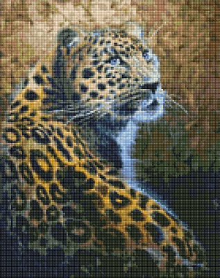 Алмазная мозаика Набор со стразами Идейка Грациозный хищник 40*50см Идейка 
