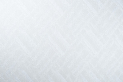 Обои виниловые на флизелиновой основе Vinil Шерли стена ДХС-1582/1 1,06x10,05 м 